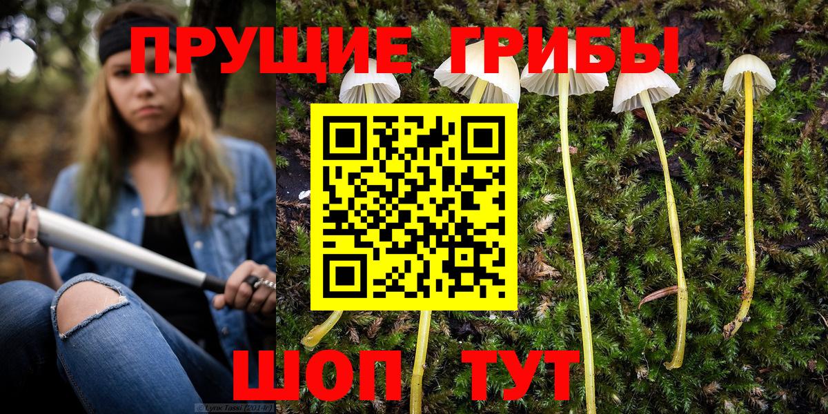 Псилоцибиновые грибы MAGIC MUSHROOMS Белебей