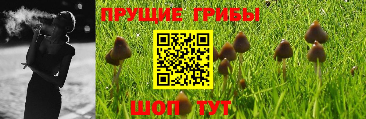 Псилоцибиновые грибы Cubensis  Вход с VPN  Белебей 